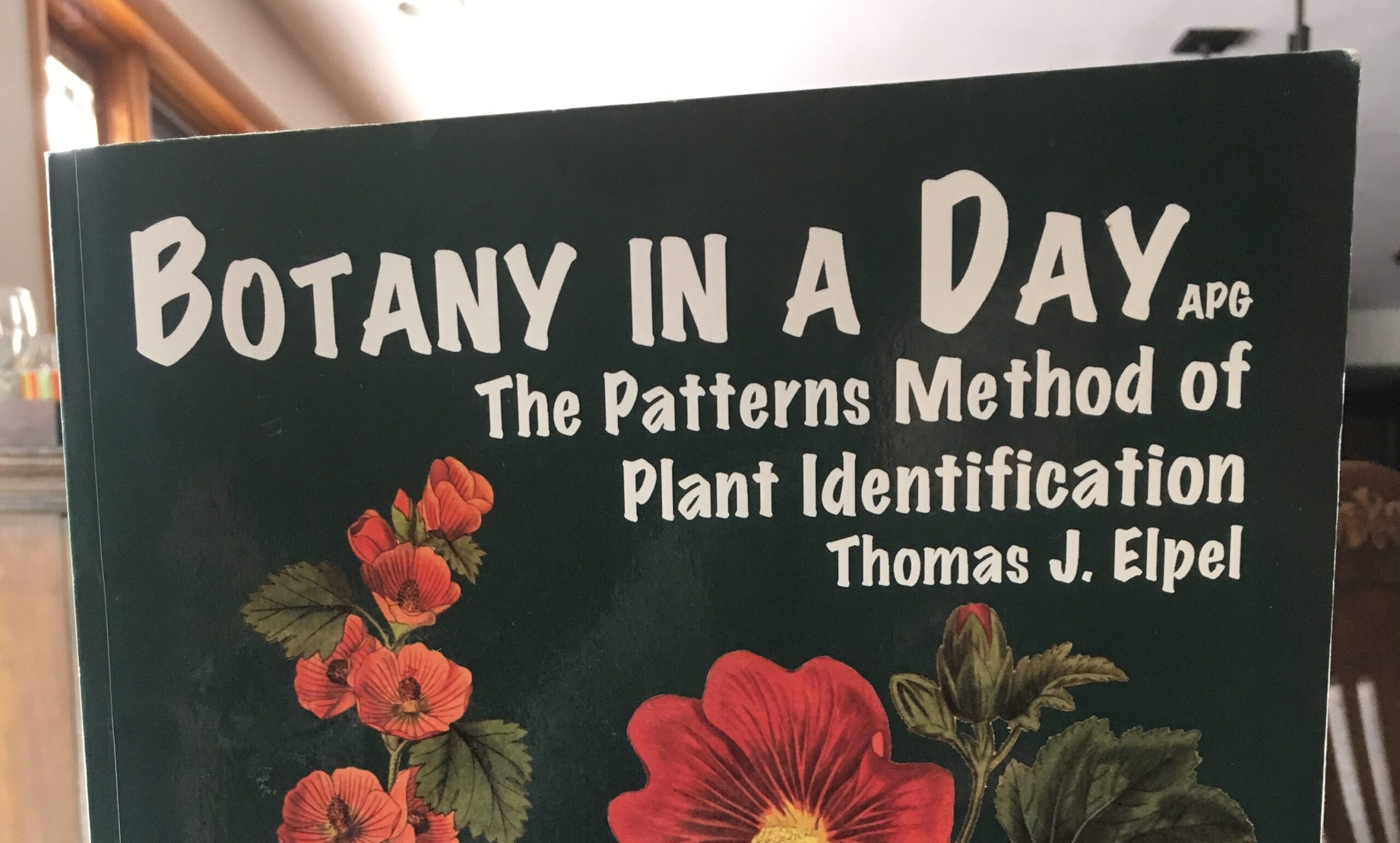 Botany in a Day