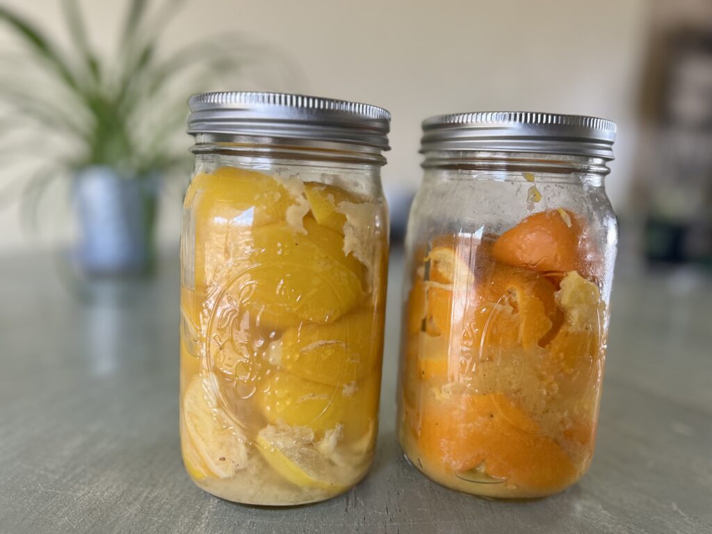 Finished pickled citrus: Meyer lemons and mandarins.