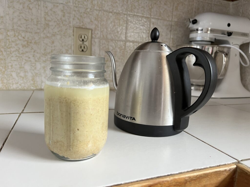 Wheat germ next to an electric hot water kettle.