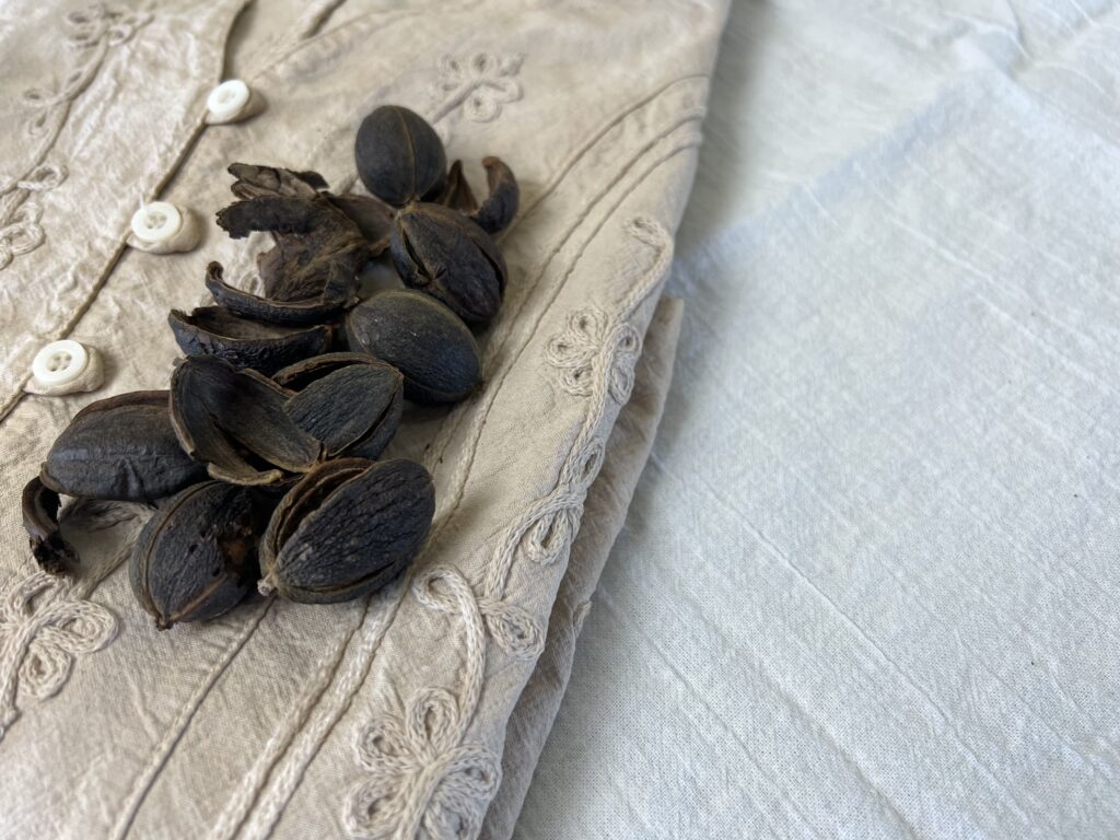 Side view of pecan hulls on dyed shirt
