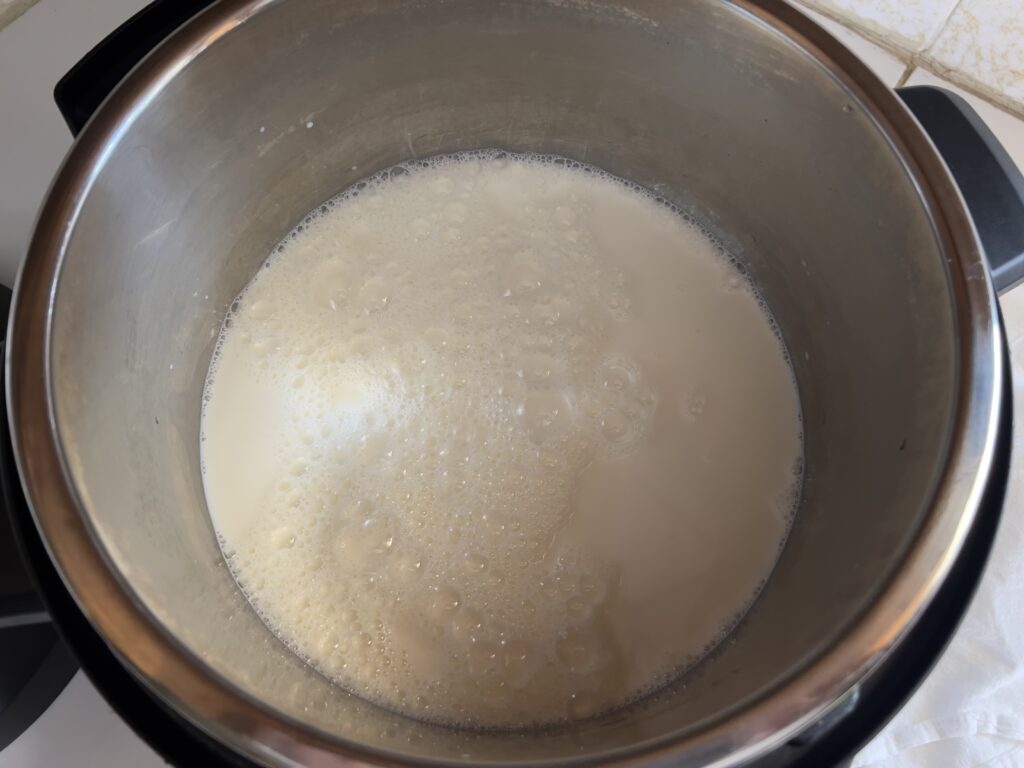 Milk poured into an Instant Pot.