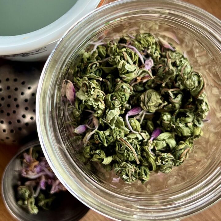 How to make forage and make FIreweed Tea