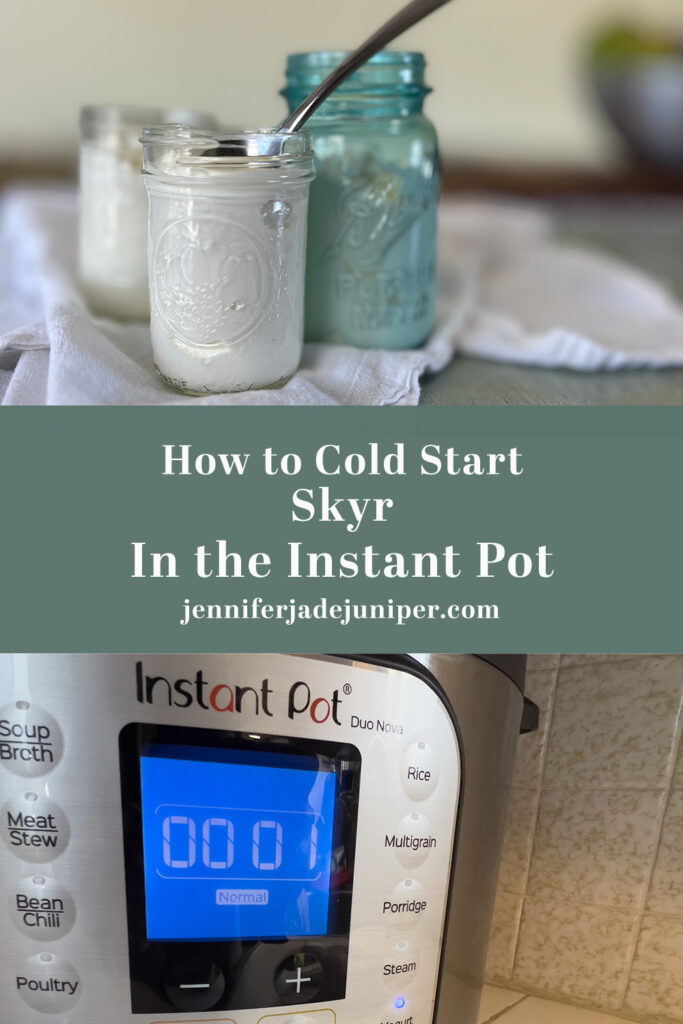 Pinterest post for Skyr