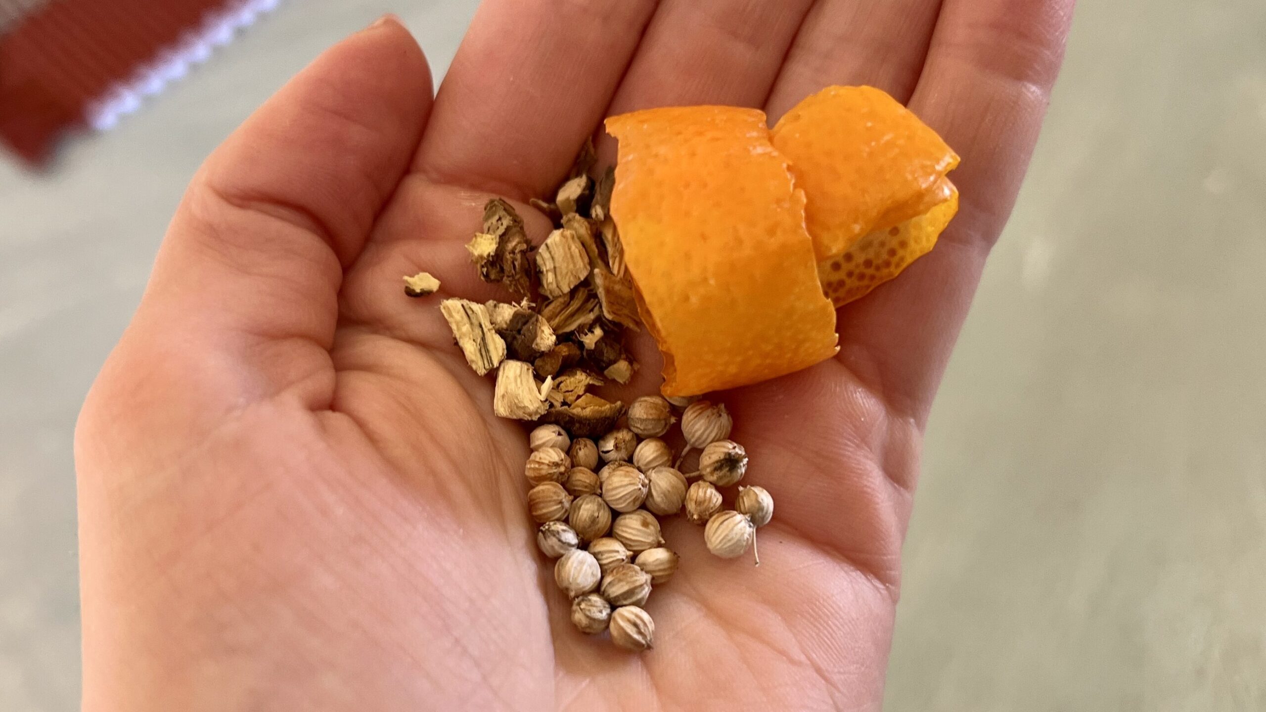 Licorice root, orange peel, and coriander in the palm of a hand.
