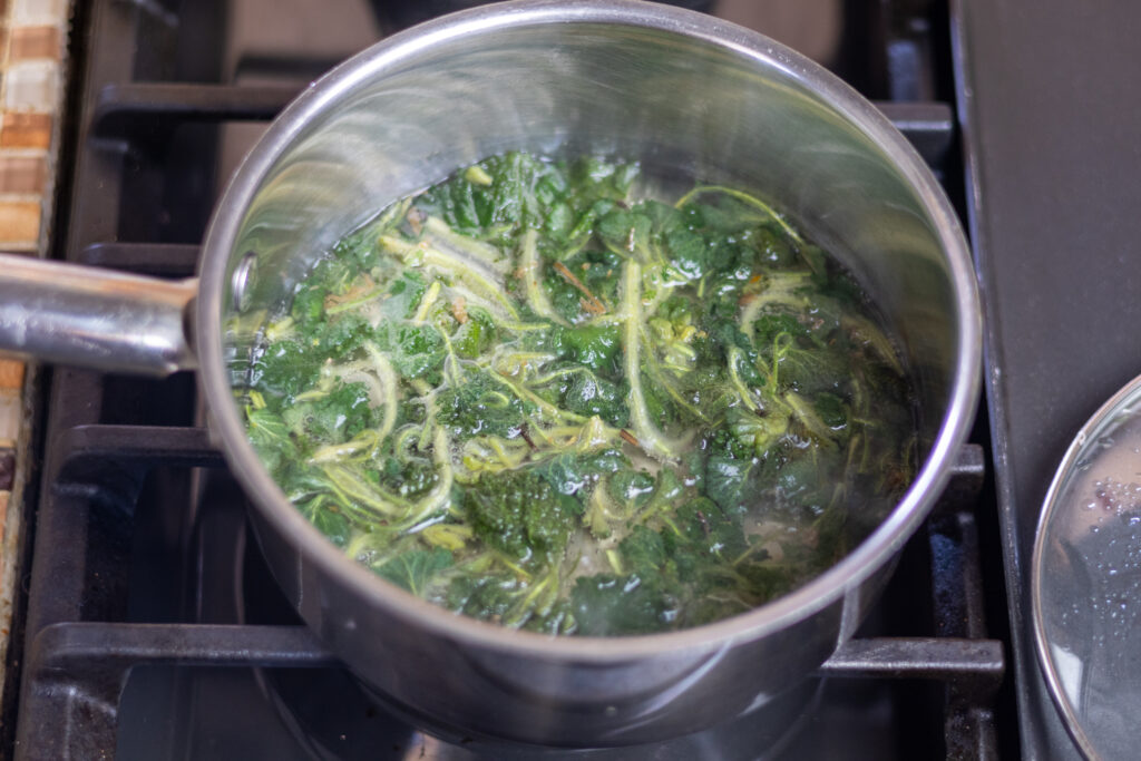 Horehound tea being prepared in silver pot