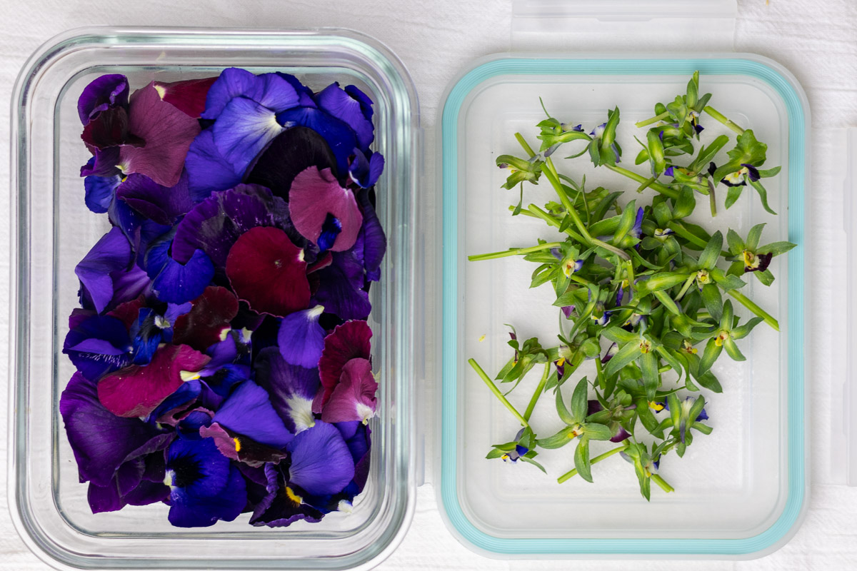 A glass container holding dark petals next to a pile of its green parts. 