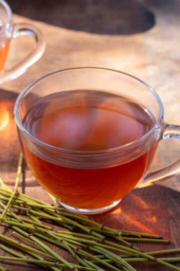 Brewed mormon tea behind ephedra stems on wooden table.