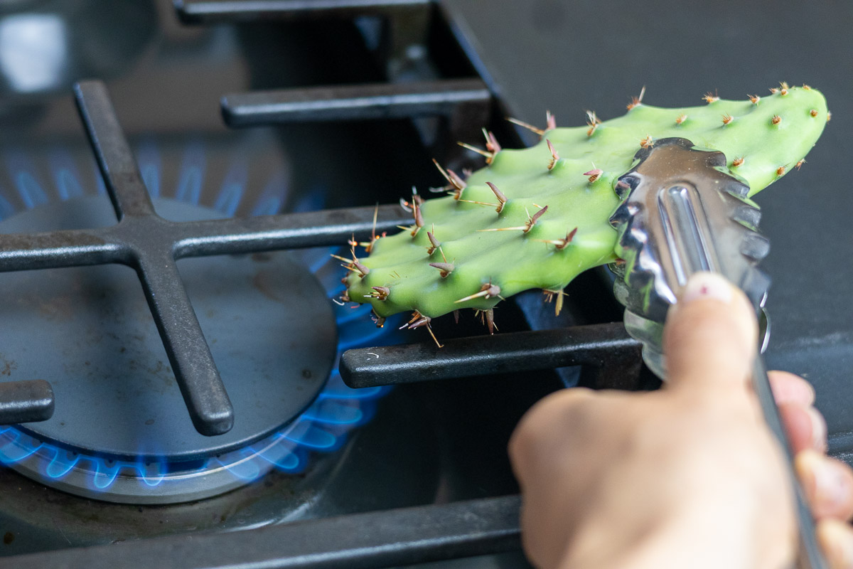 A fresh prickly pear pad next to a gas stove open flame singeing the glochids and spines.