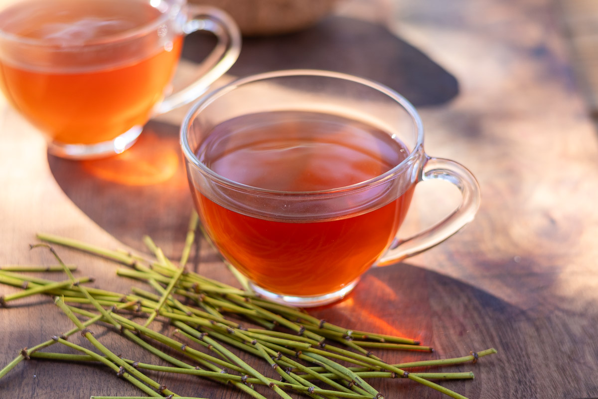 two cups of desert American ephedra tea and stems on a wooden table.