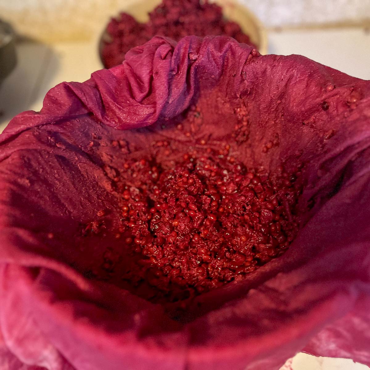A closeup of straining chokecherry juice, showing the pits.