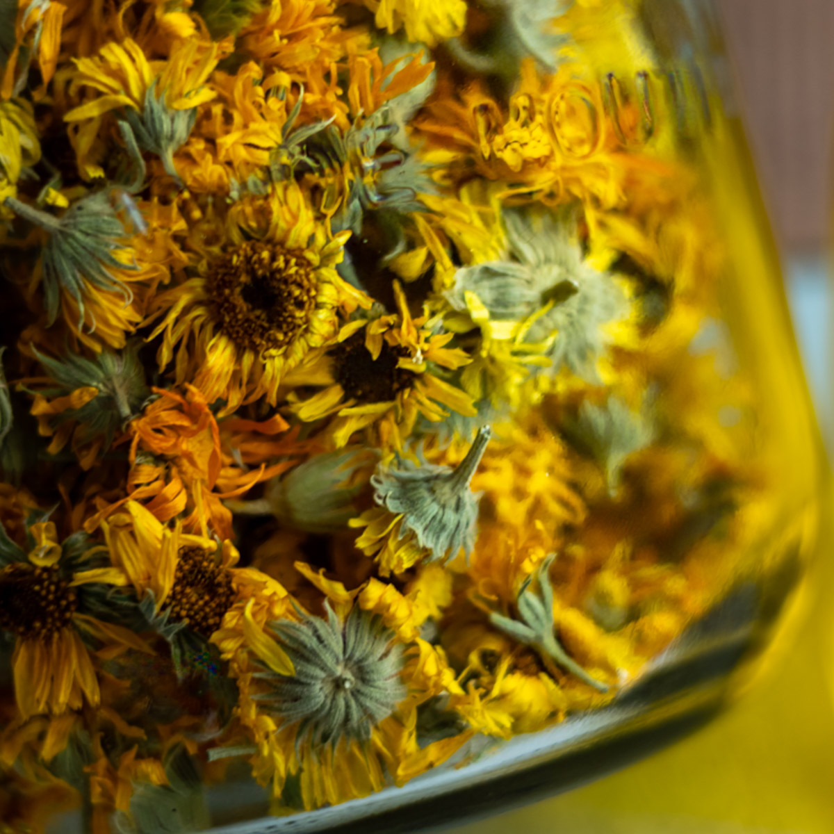 A very close up view of a glass jar filled with dried calendula flowers.