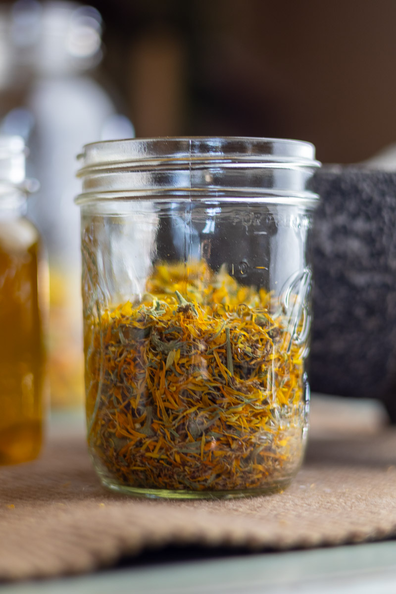 A pint mason jar filled halfway with crushed calendula flowers.