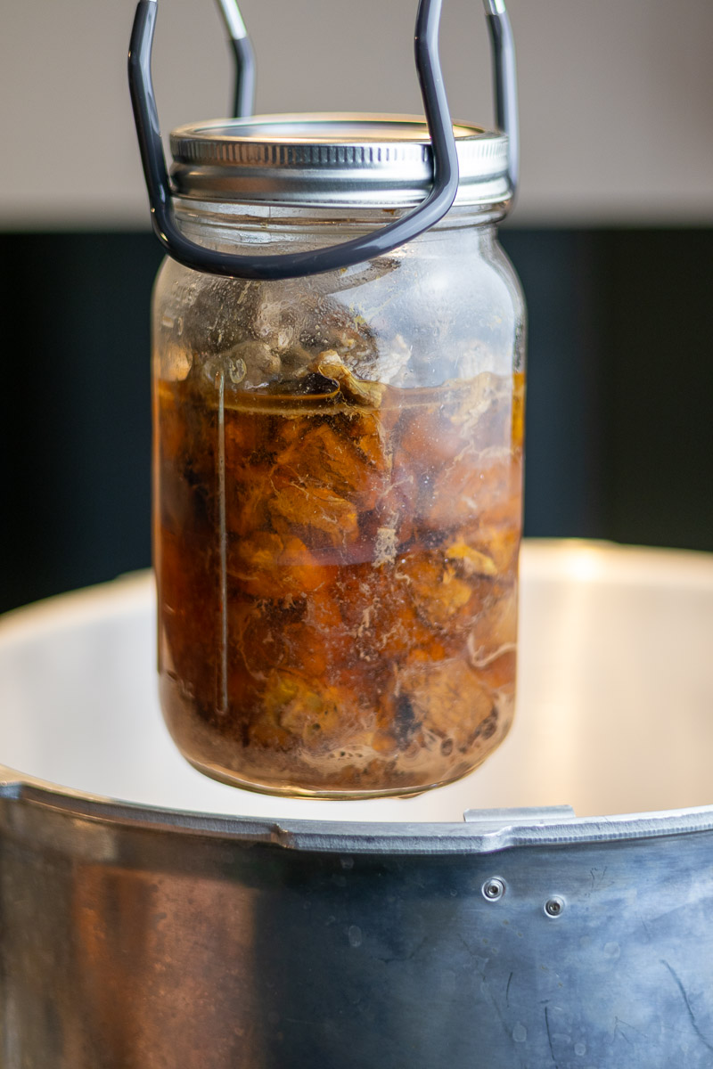 A jar of venison meat that was canned raw pack style being held by a jar lifter out of a pressure canner.