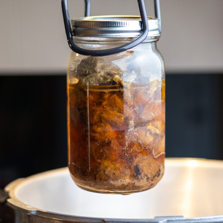A jar lifter holding canned venison near a pressure canner.