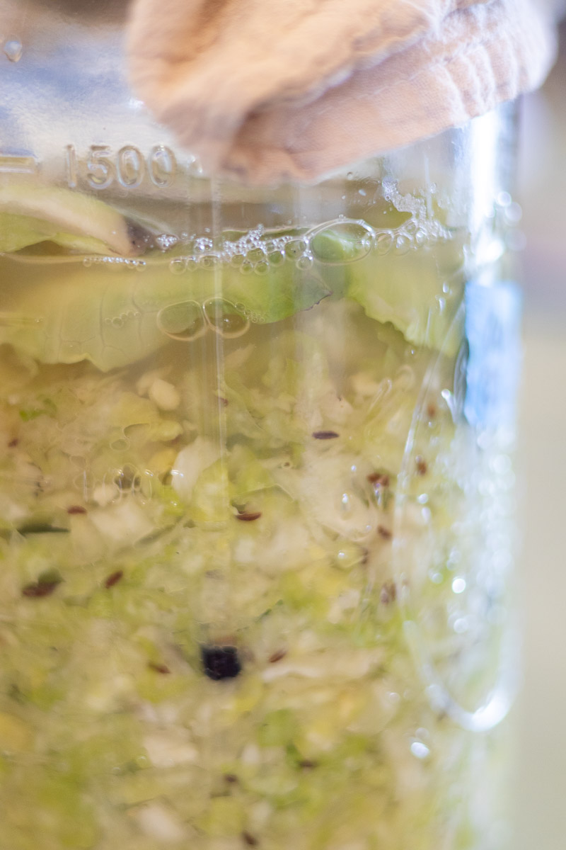 A close up of juniper and caraway sauerkraut bubbling at the start of fermentation.