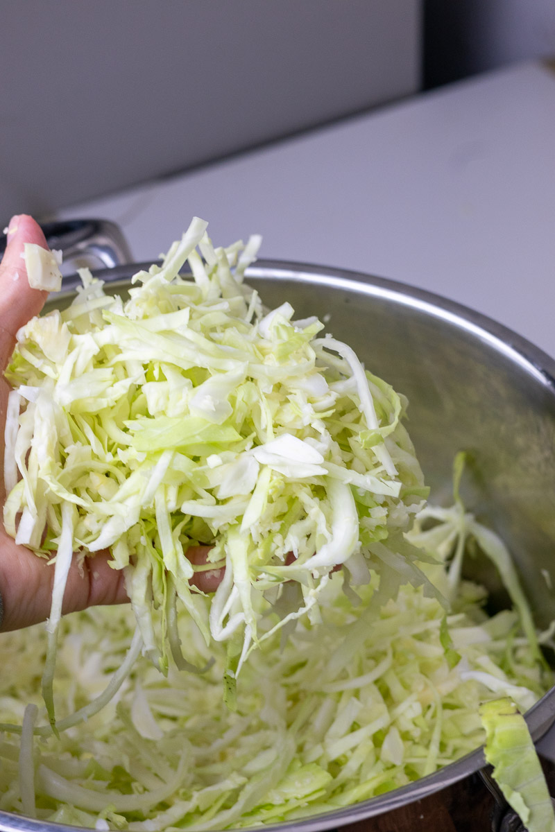 A hand holding shredded cabbage.