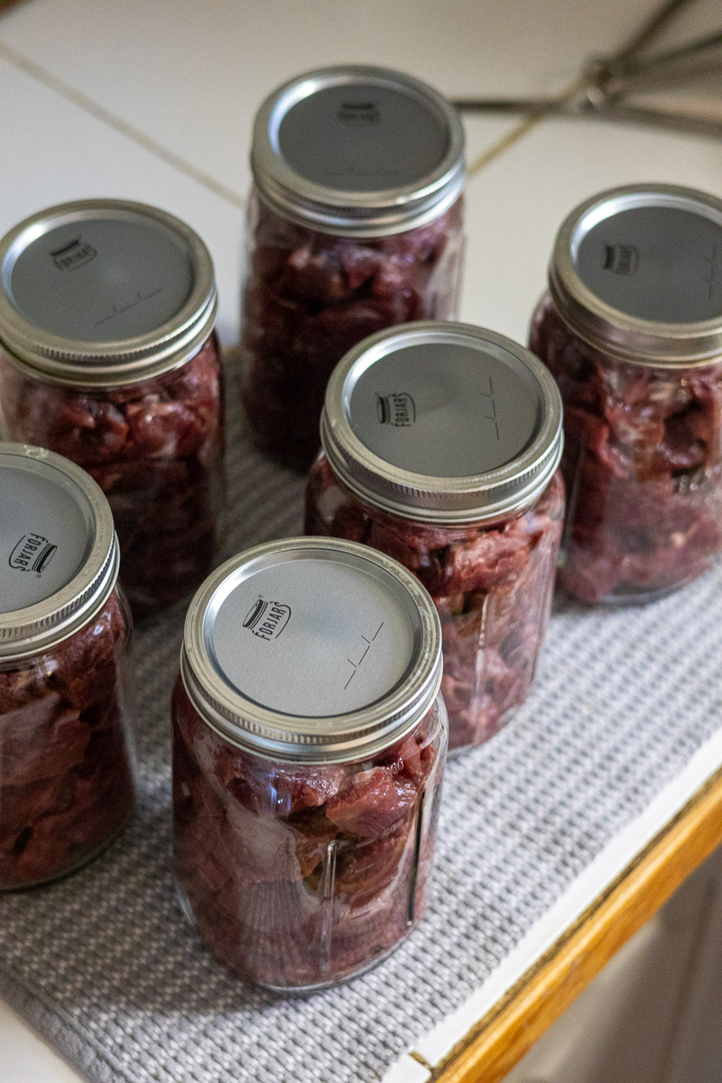 A set of jars filled with deer meat and ready to can with clean lids and rings.