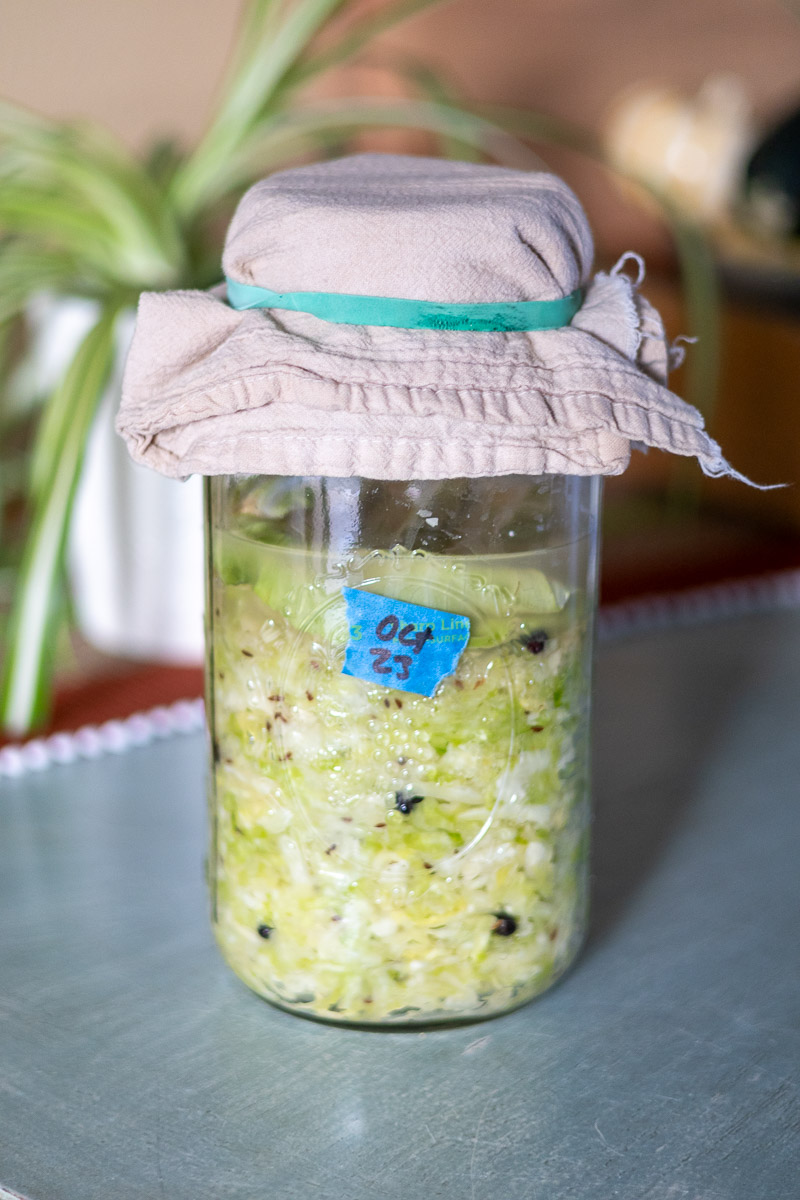 A jar of juniper caraway sauerkraut ready to ferment with the date labeled on it.