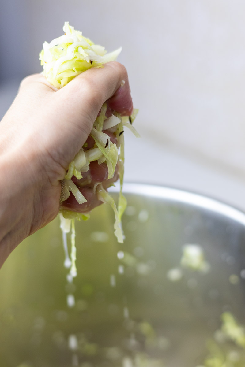 A hand holding shredded cabbage that is releasing its juices.