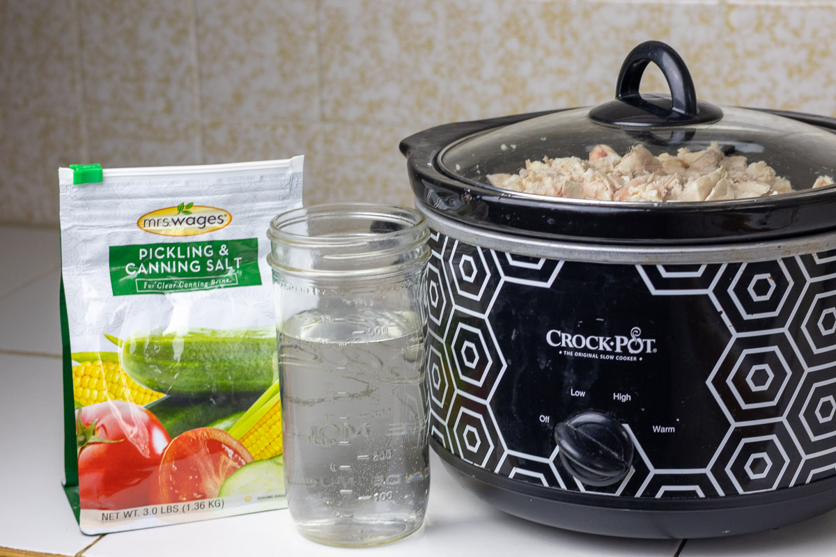 Salt, water, and a crockpot full of suet on counter showing the ingredients needed for wet rendering tallow.