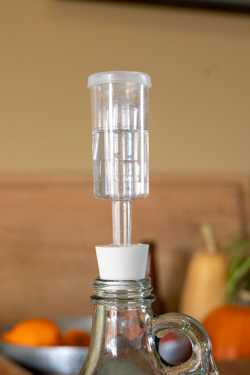 A two-piece airlock and bung on a carboy with a table of fruit in background.