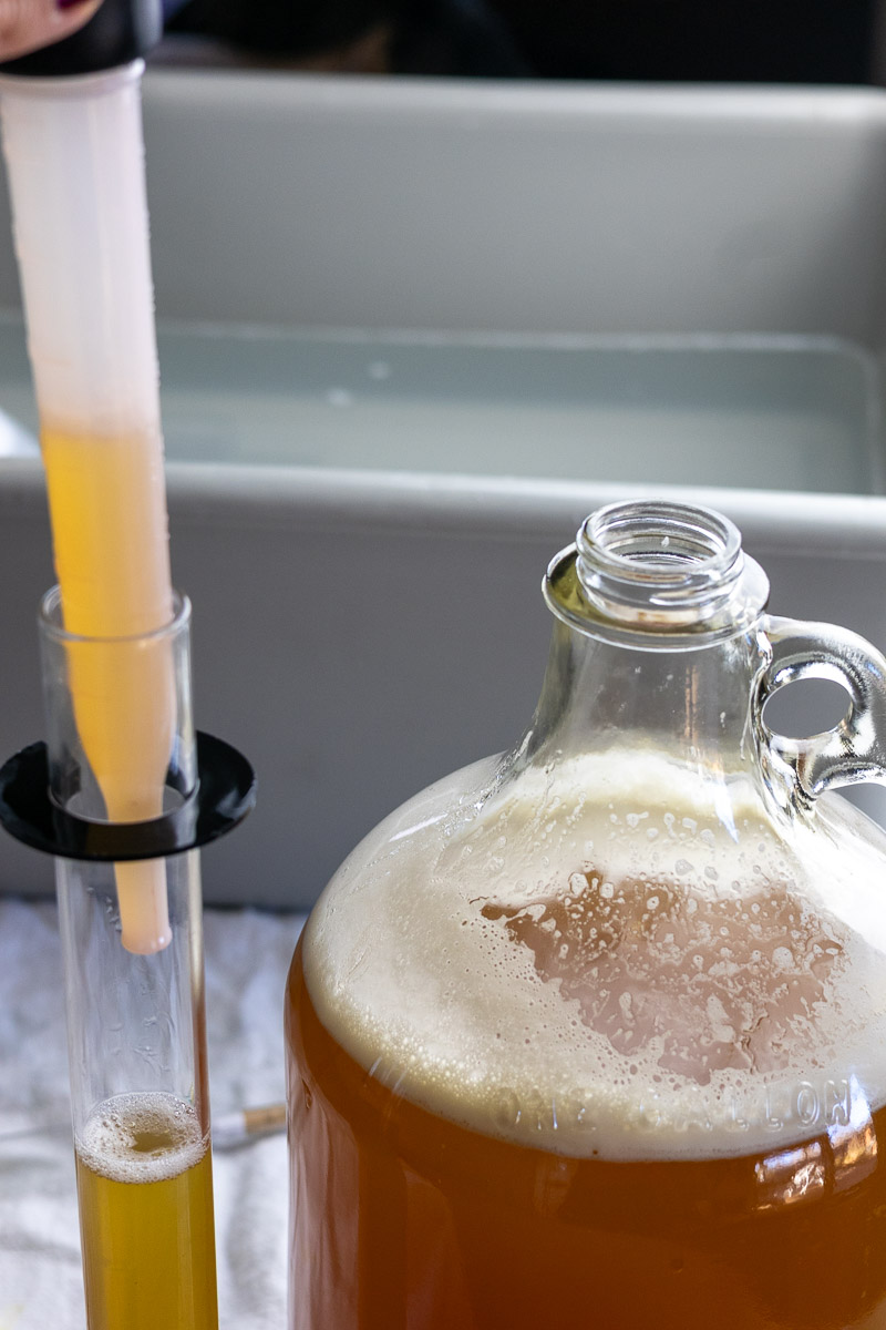 A turkey baster taking a sample of traditional mead.