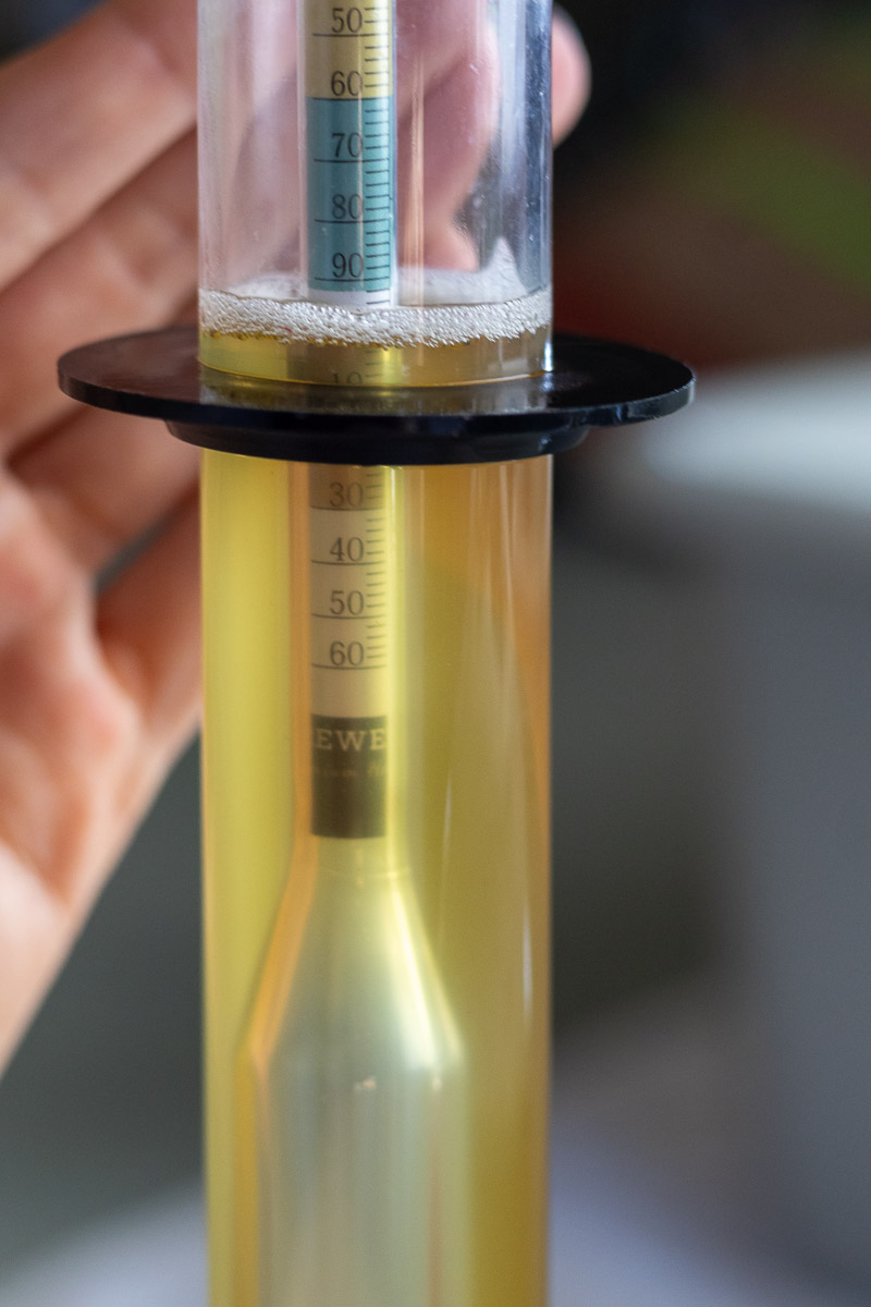 A hydrometer and graduated cylinder showing the original gravity of traditional mead.