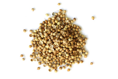 Coriander Seed Organic