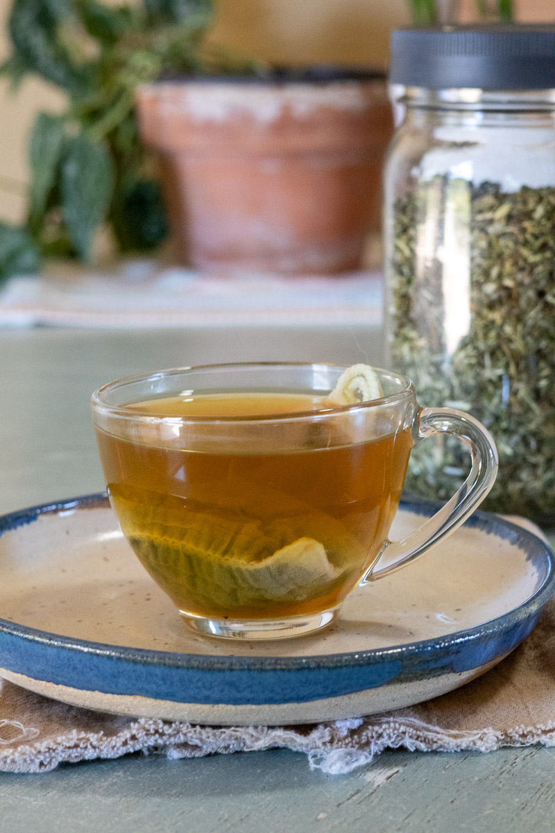 A clear mug of pregnancy tea being steeped with a reusable tea bag next to herb blend and terracotta pot in background.